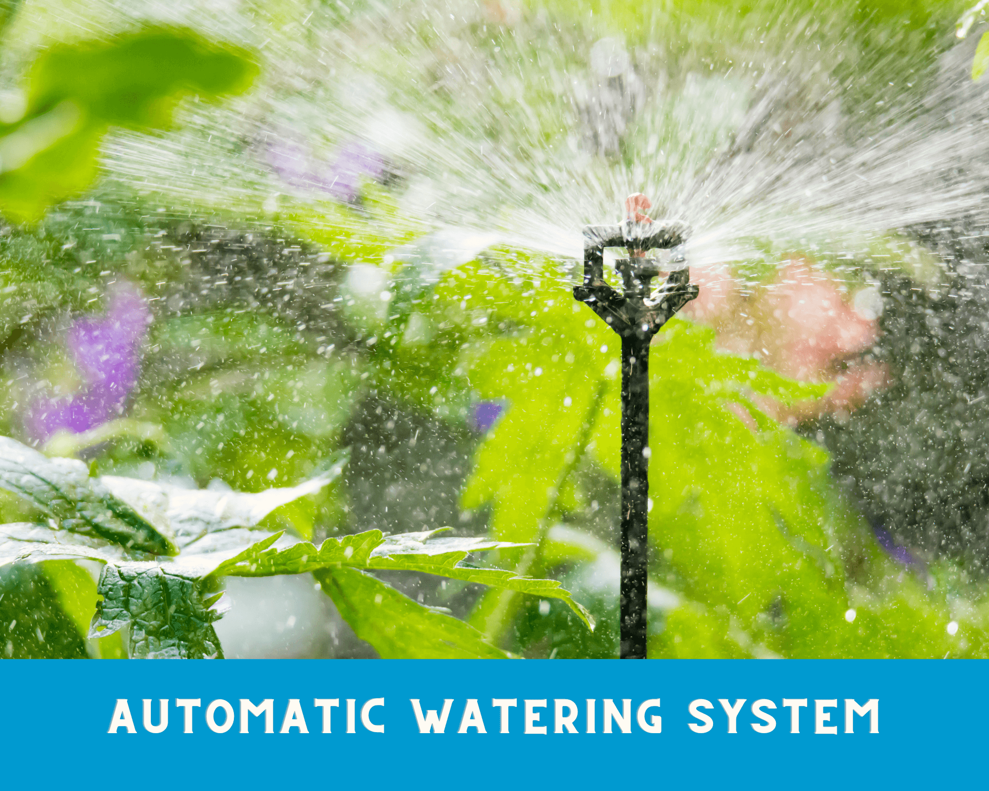 automatic-watering-system