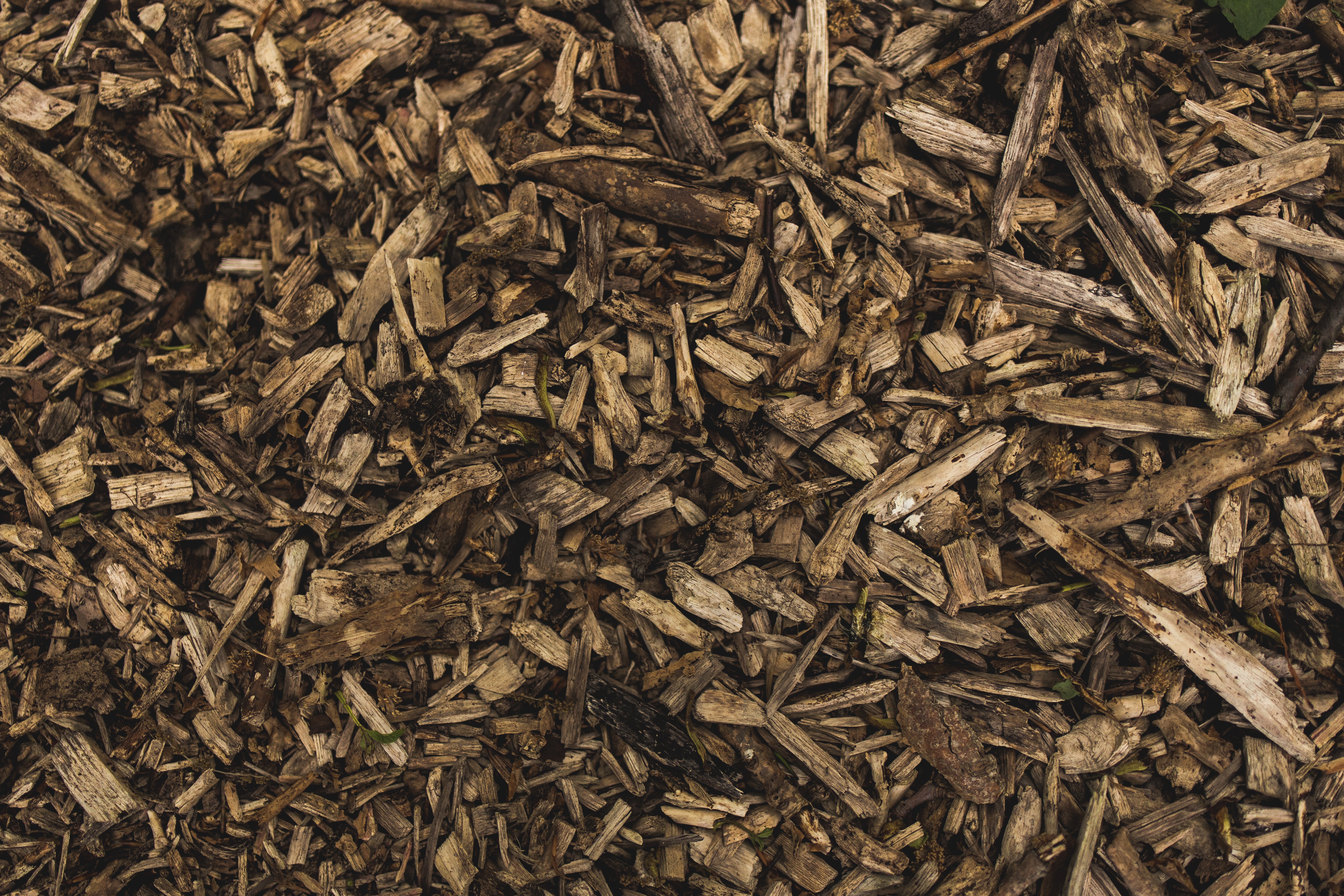 All About Mulch, Maintenance, and Refresh