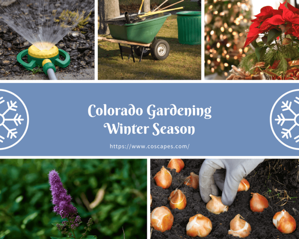 Colorado Gardening Winter Season Colorado Scapes