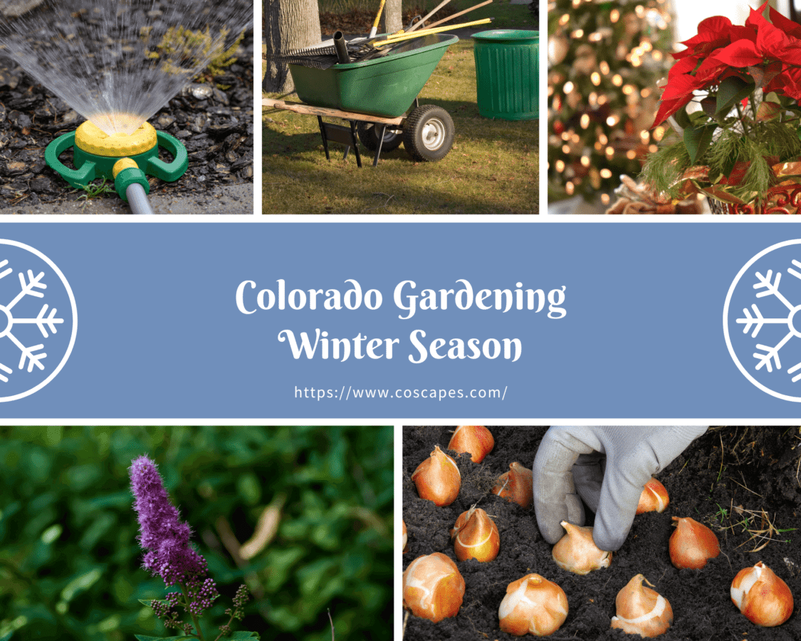 colorado-gardening